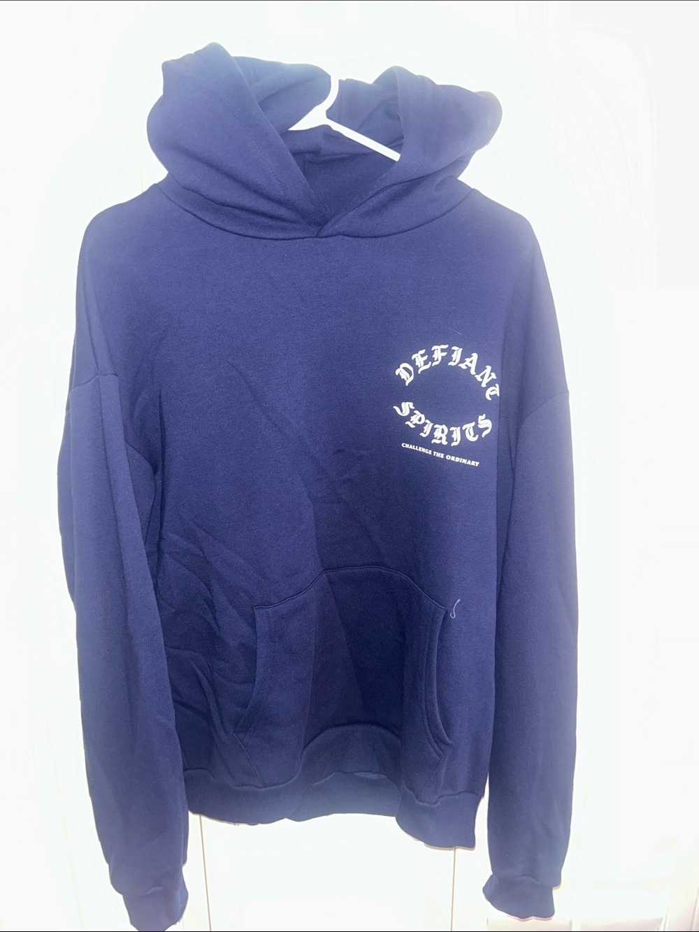 The Ordinary Navy Crewneck Hoodie with Chest Graphic